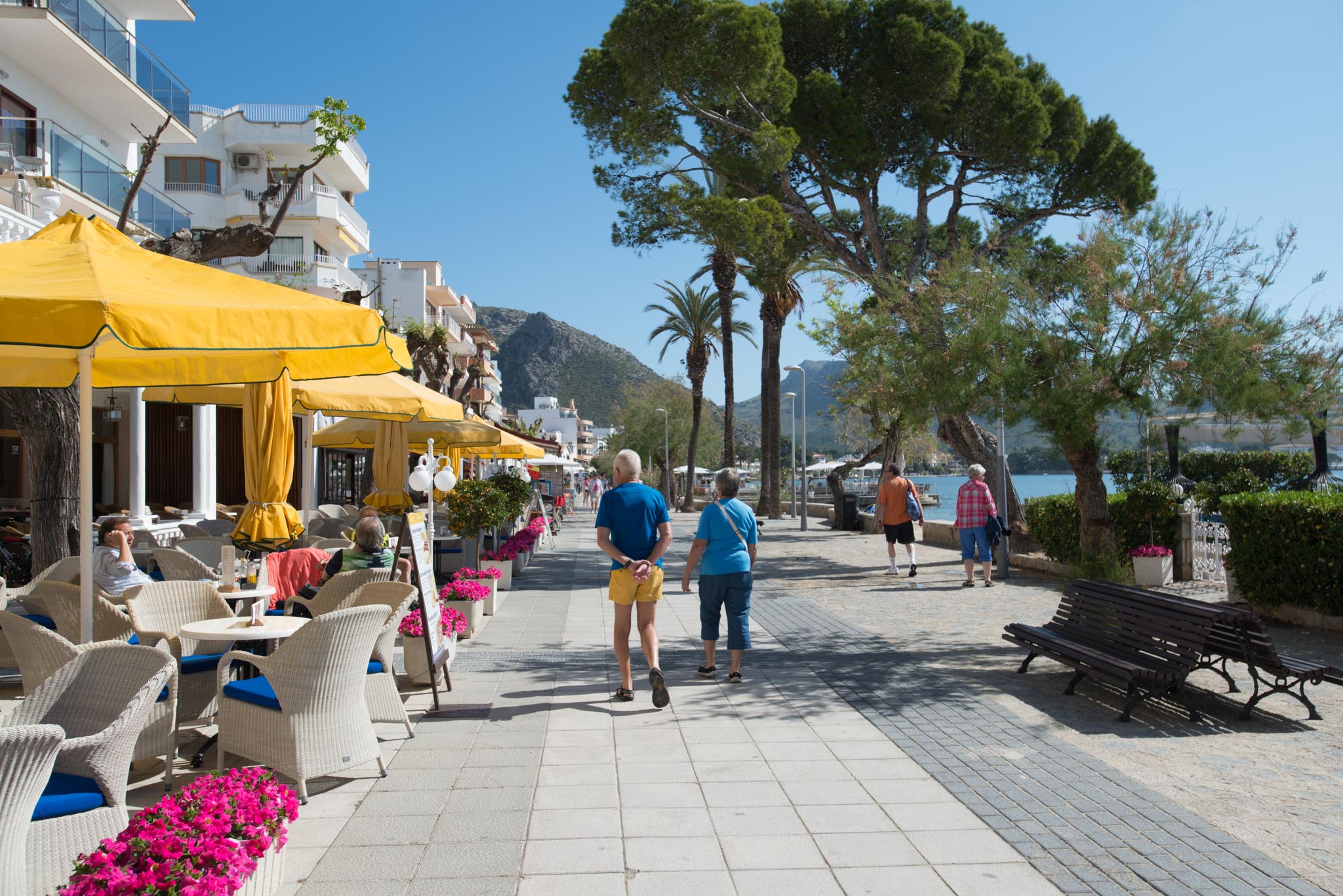 Along the Pine Walk (Majorca)